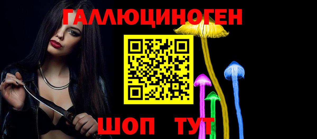 Советская Гавань  Псилоцибиновые грибы GOLDEN TEACHER  Вход с VPN  Галлюциногенные грибы GOLDEN TEACHER 
